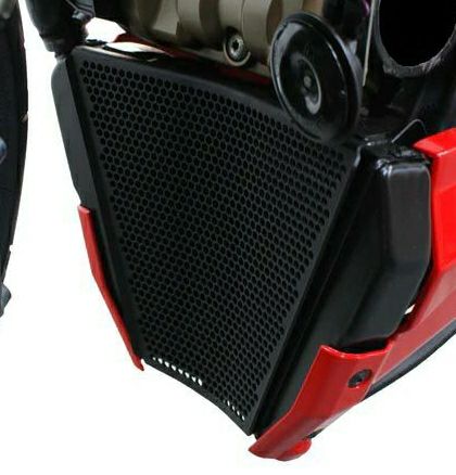 DUCATI_Streetfighter_protection