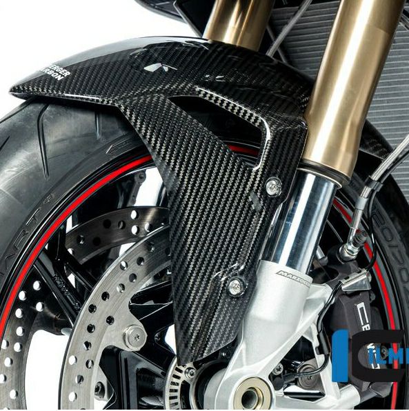 BMW_M1000R-carbon