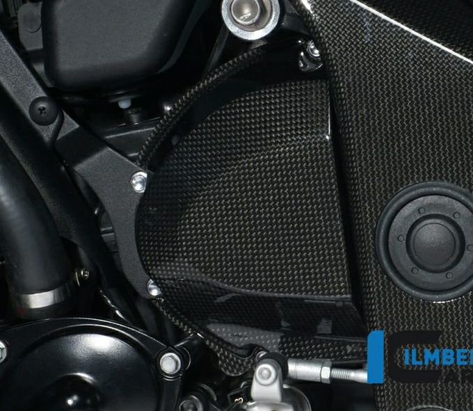 TR_SPEEDTRIPLE_other_FrameCover